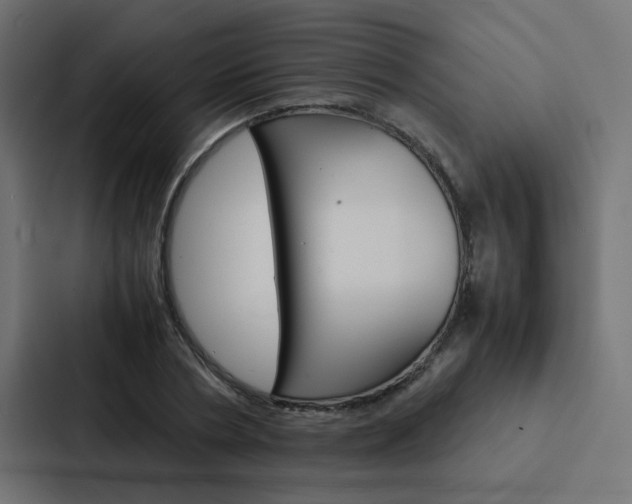 X0000088230786200705151048