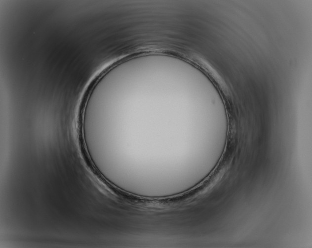 X0000088230787200705151048