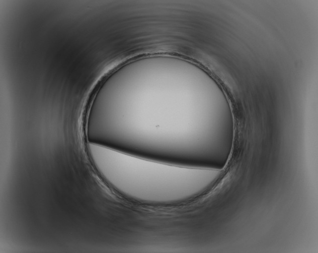 X0000088230789200705151048