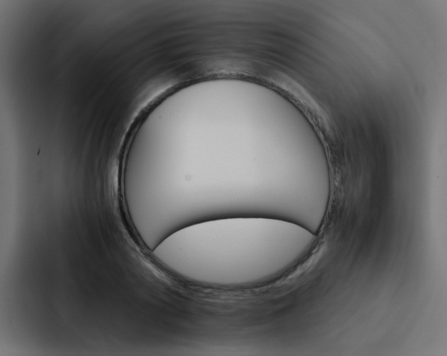 X0000088230790200705151048
