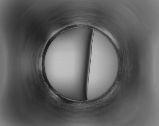 X0000088230791200705151048