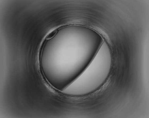 X0000088230792200705151048