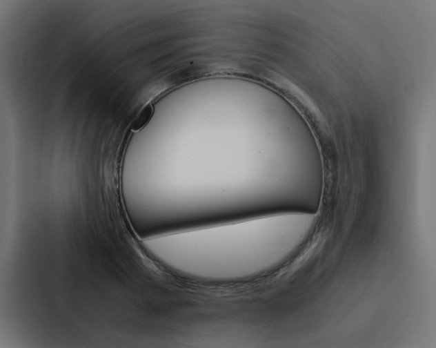 X0000088230793200705151048