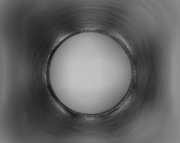 X0000088230794200705151048