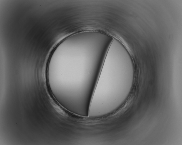 X0000088230795200705151048