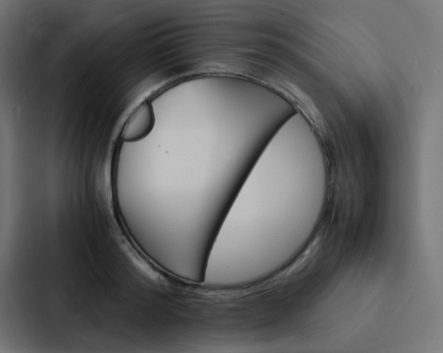 X0000088230796200705151048