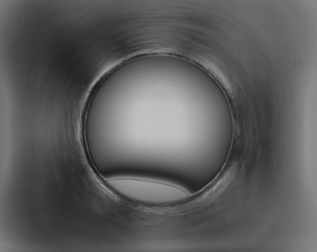 X0000088230797200705151048