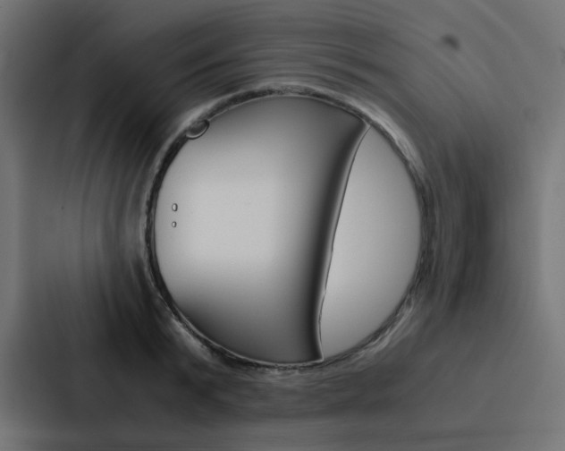X0000088230799200705151048
