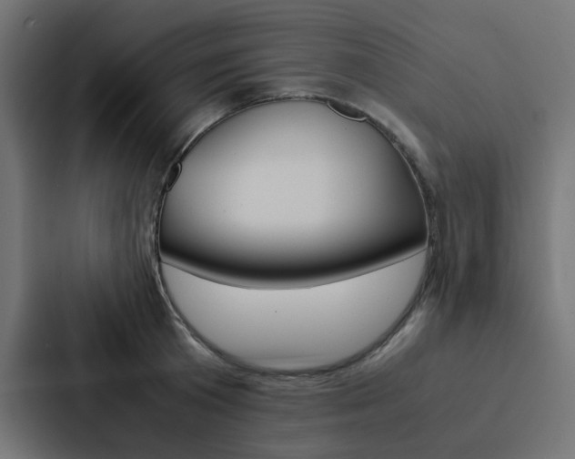 X0000088230801200705151048