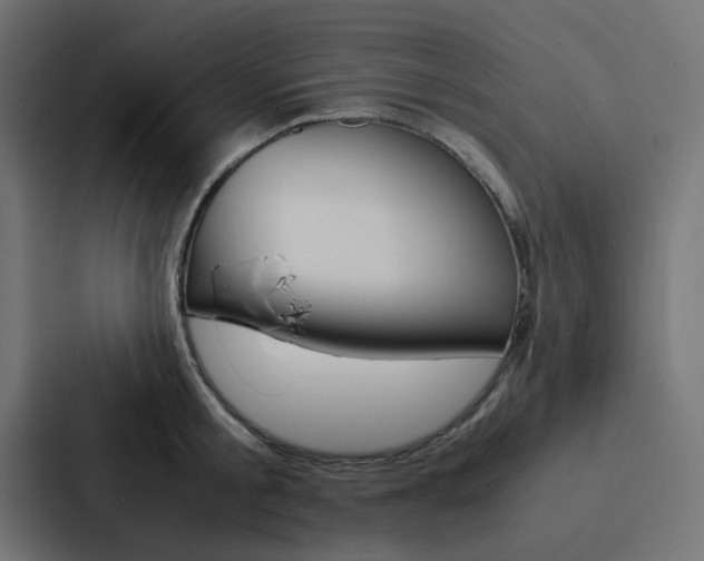 X0000088230805200705151048