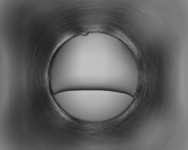 X0000088230806200705151048