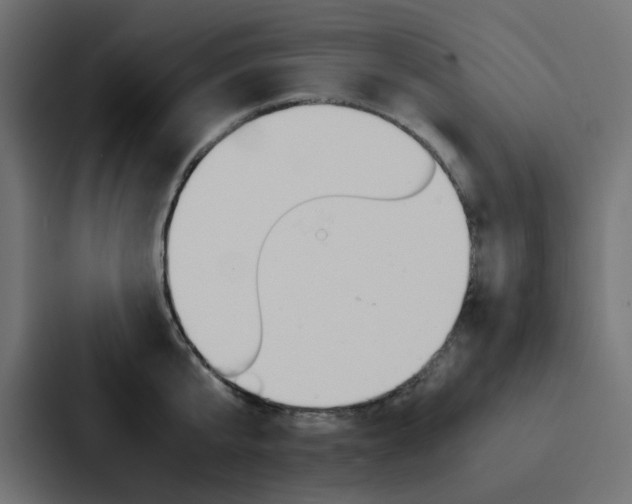 X0000088230807200705151048