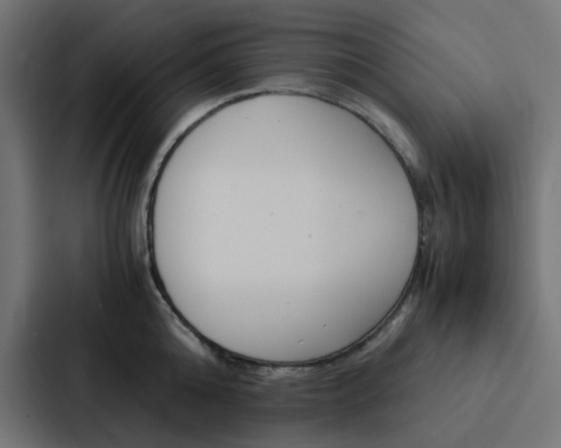 X0000088230808200705151048