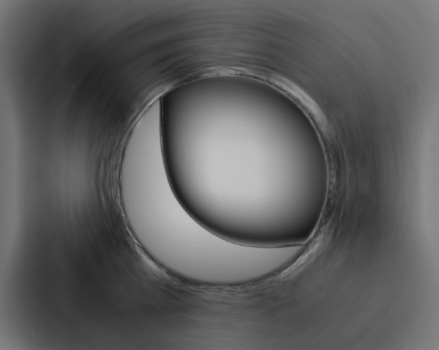 X0000088230809200705151048