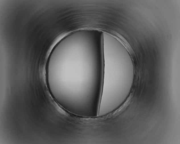 X0000088230812200705151047