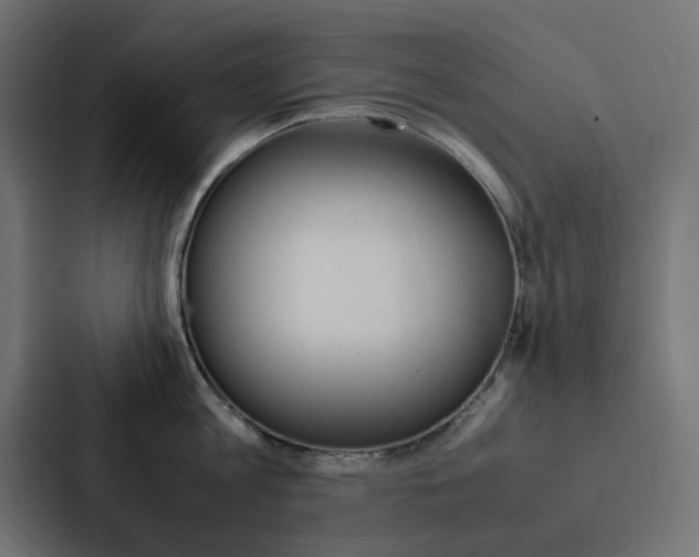X0000088230813200705151047