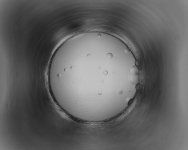 X0000088230814200705151047
