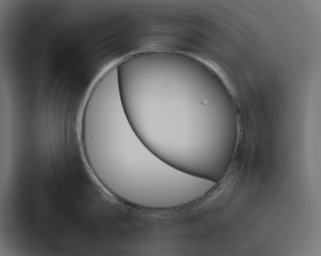 X0000088230815200705151047