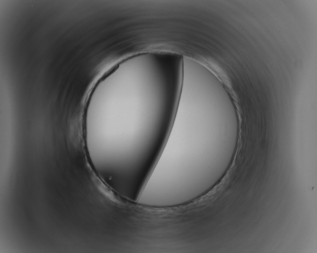 X0000088230816200705151047