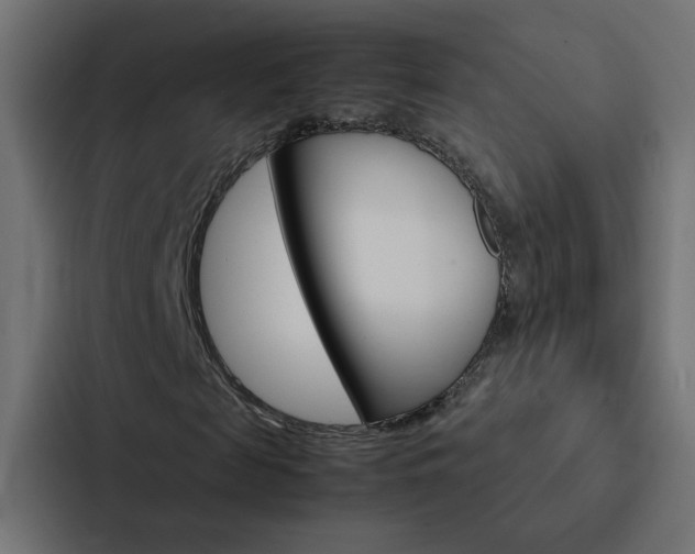 X0000088230817200705151047