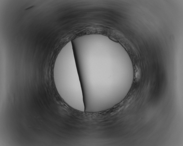 X0000088230819200705151047