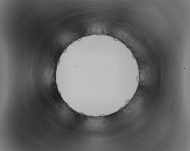 X0000088230820200705151047
