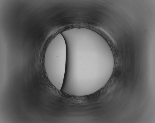 X0000088230823200705151047