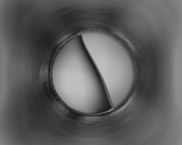 X0000088230825200705151047