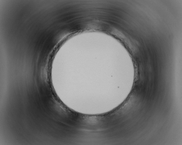 X0000088230828200705151047