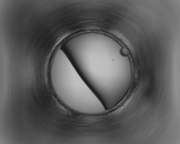 X0000088230829200705151047