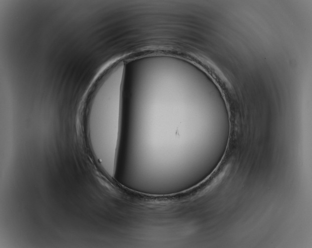 X0000088230830200705151047