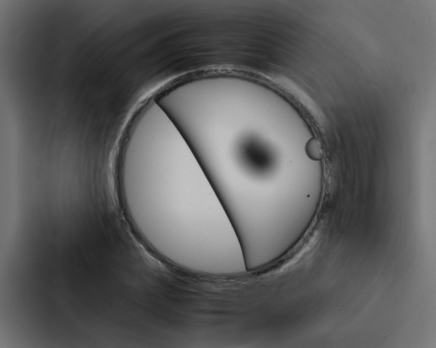 X0000088230831200705151047