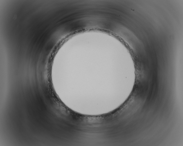 X0000088230832200705151047