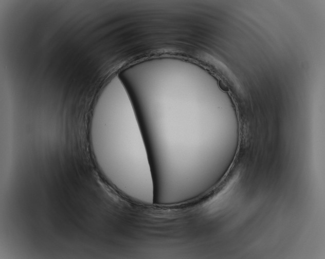 X0000088230833200705151047