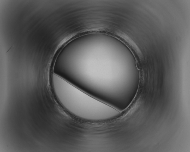 X0000088230834200705151047
