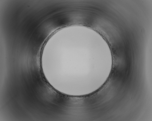 X0000088230836200705151047