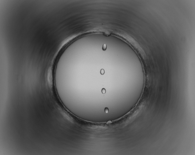 X0000088230838200705151047