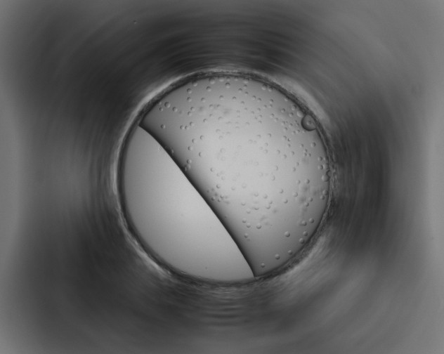 X0000088230839200705151047