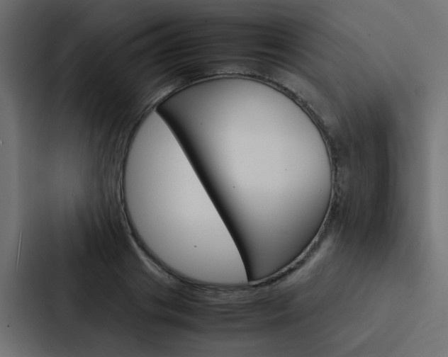 X0000088230841200705151047