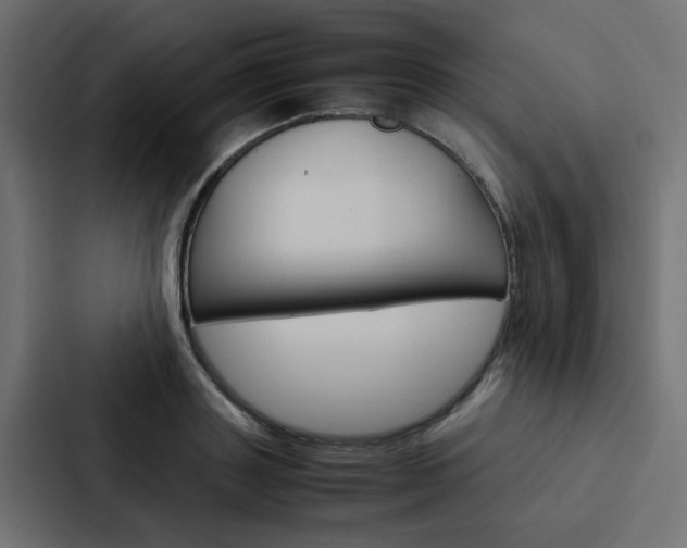 X0000088230843200705151047