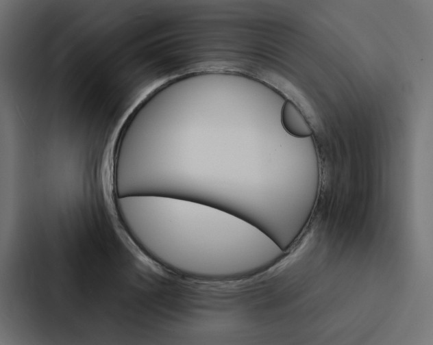 X0000088230844200705151047