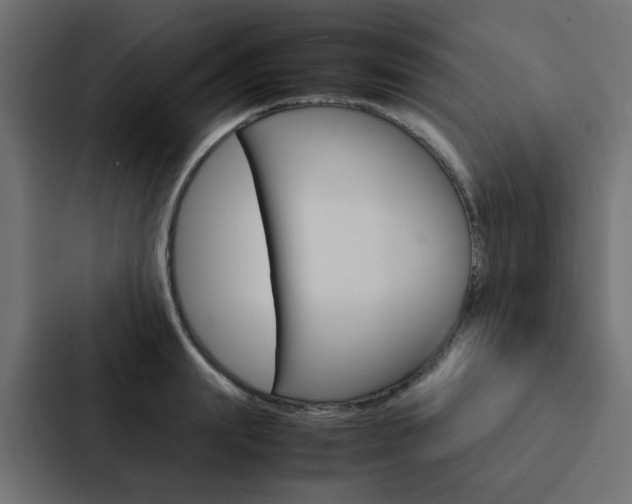 X0000088230847200705151047