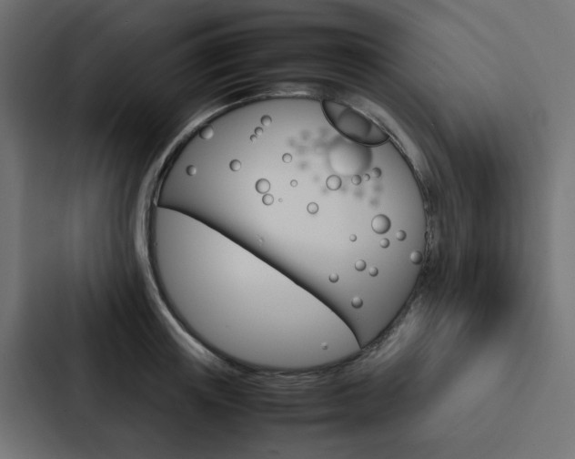 X0000088230851200705151047