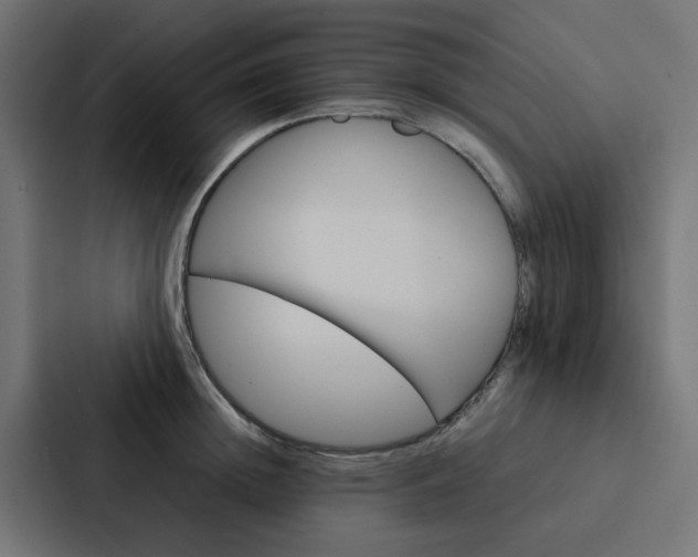 X0000088230852200705151047