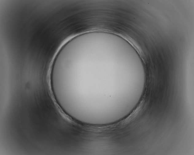 X0000088230854200705151047