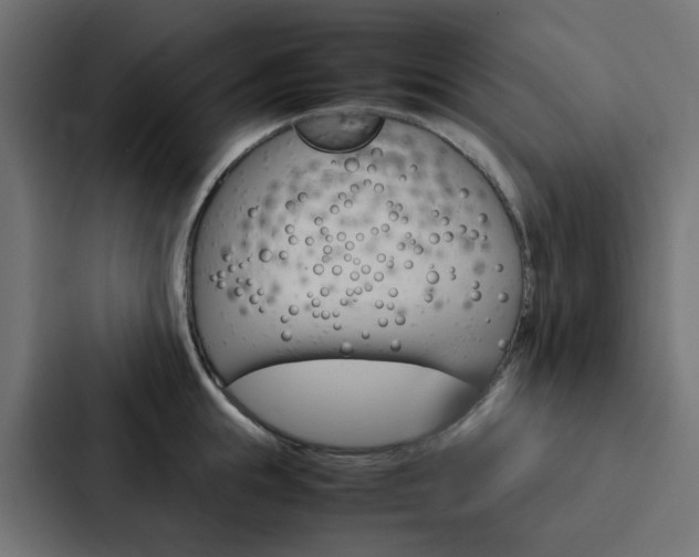 X0000088230855200705151047