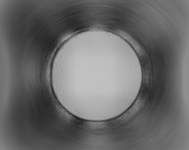 X0000088230856200705151047