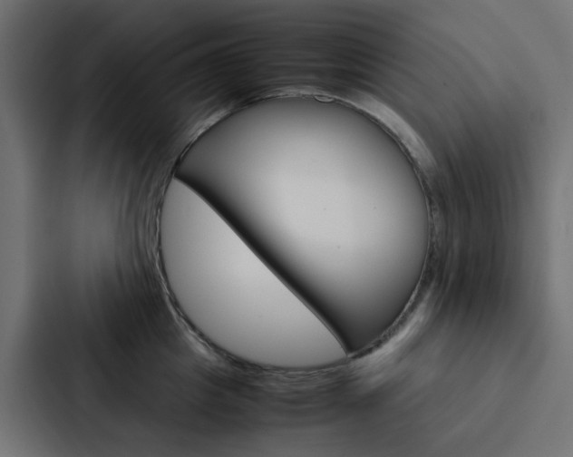 X0000088230857200705151047