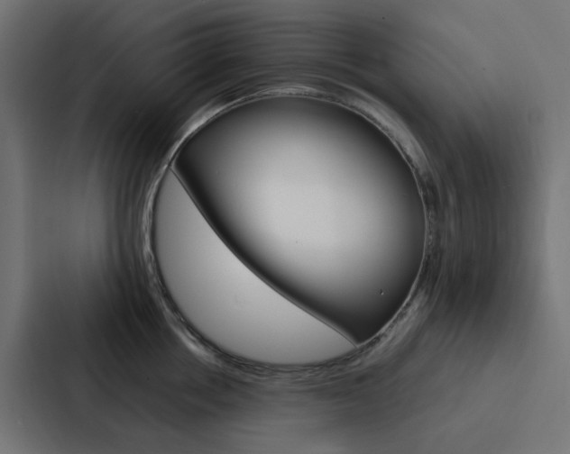 X0000088230858200705151047