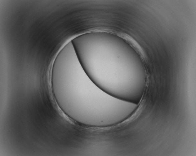 X0000088230860200705151047